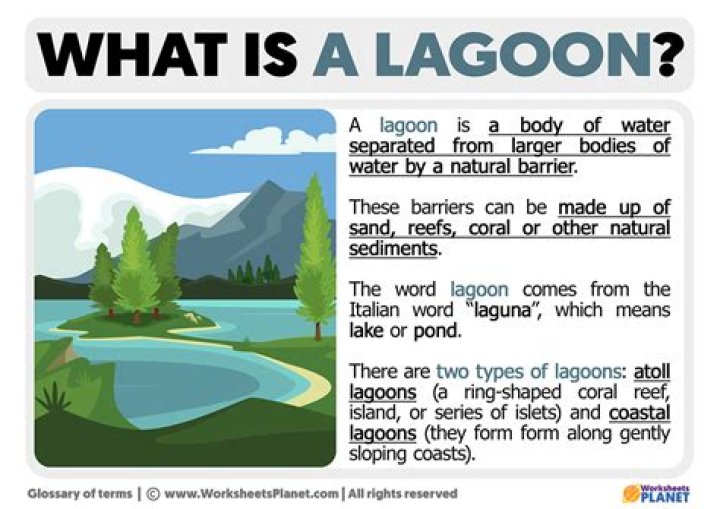 How lagoons are important?