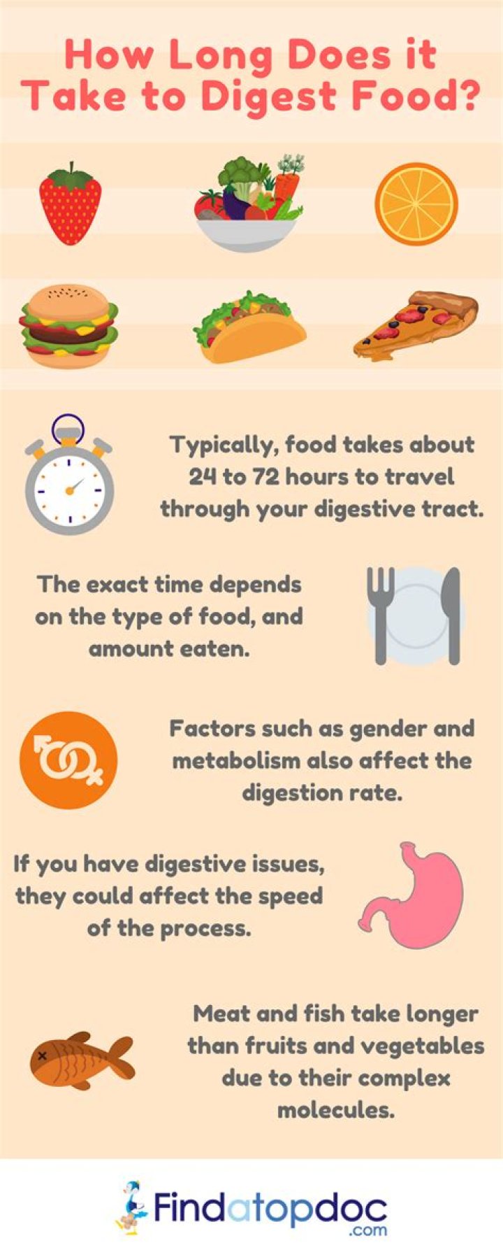 How long does it take to digest a meal?