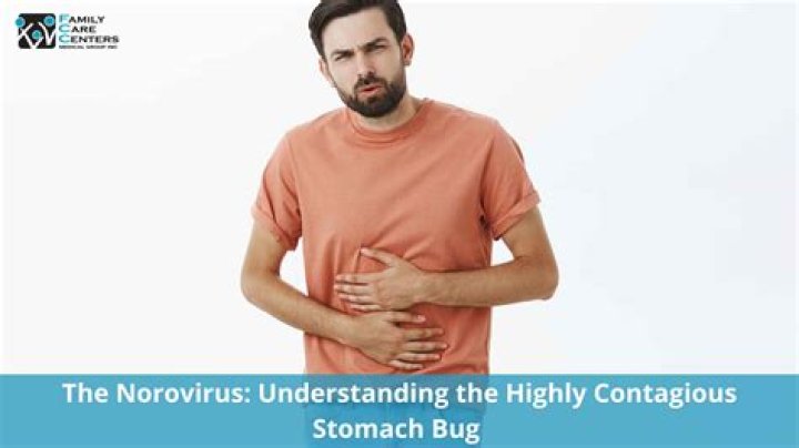 How long is s stomach bug contagious?