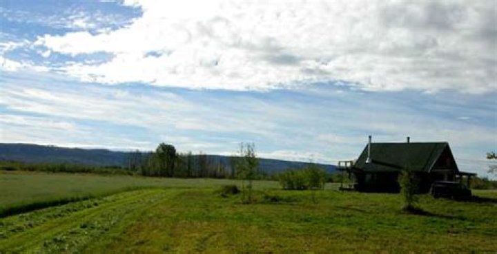 How many bales per acre?