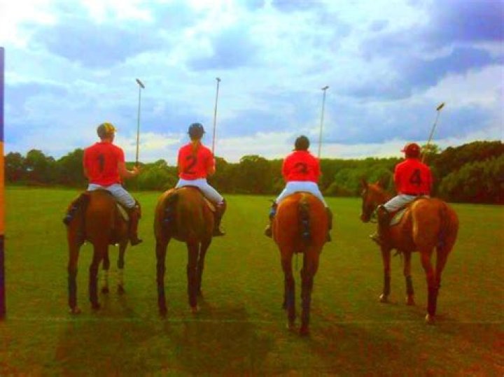 How many horsemen constitute a polo team?