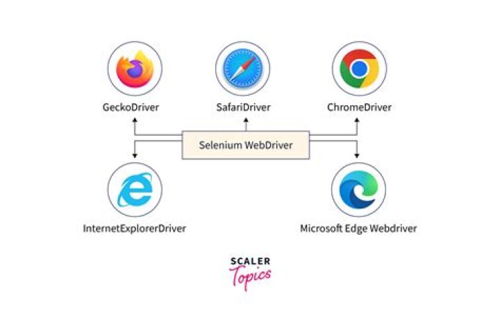 How many locators are available in the selenium webdriver?