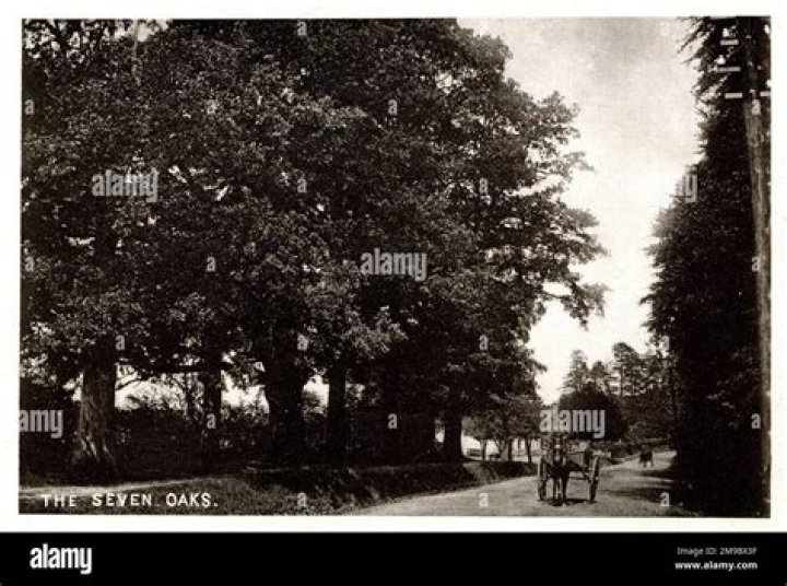 How many oaks left in sevenoaks?