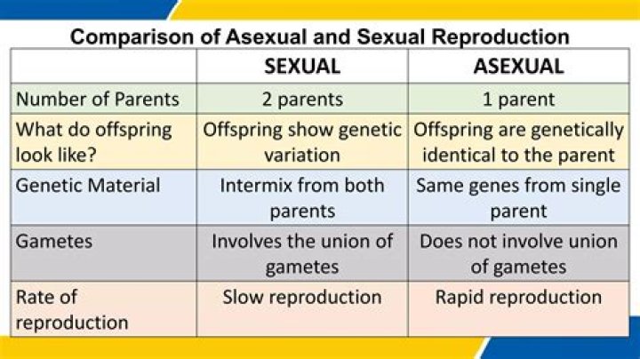 How many parents does asexual reproduction involve?