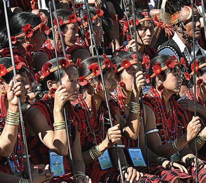 How many tribes are there in nagaland?