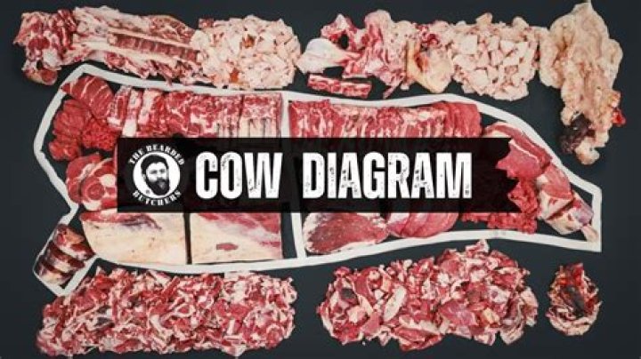How much does butchering a cow cost?