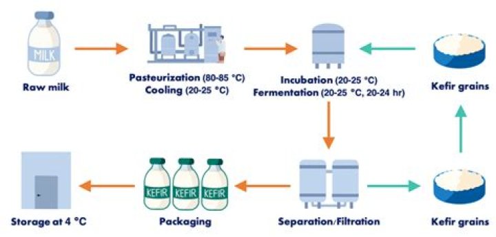 How much kefir grains to milk?