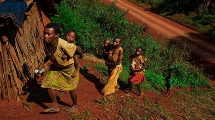 How tall are pygmies?