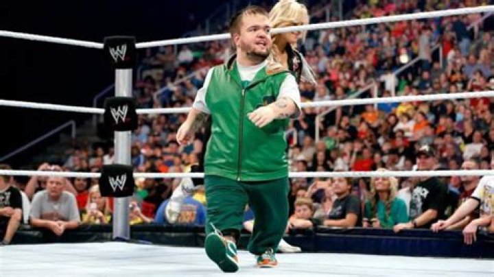 How tall is hornswoggle?