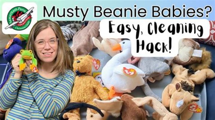 How to clean beanie babies?