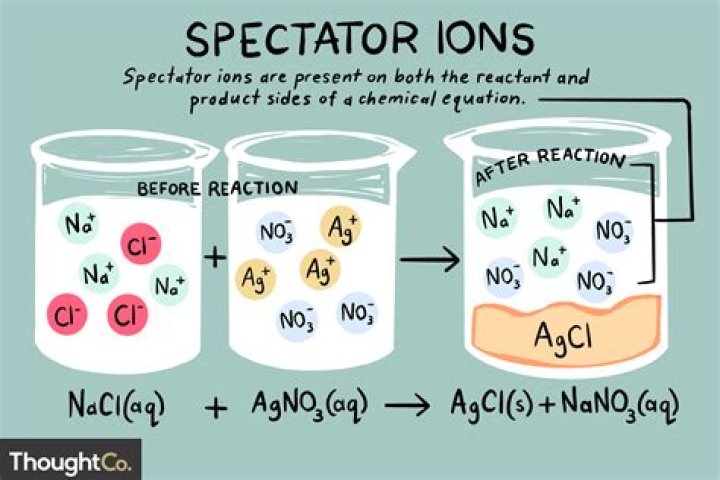How to find spectator ions?