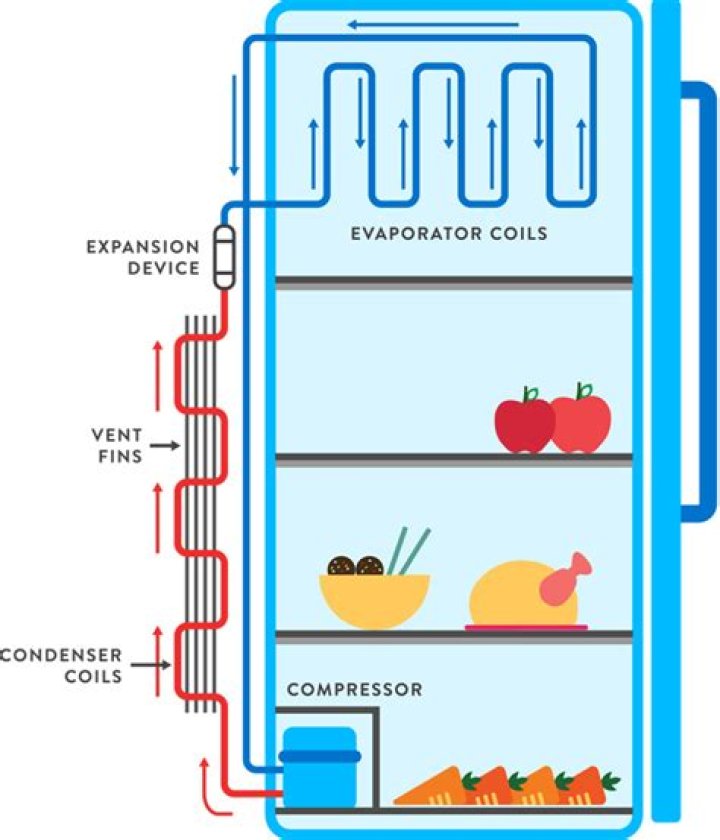 How to fridges work?