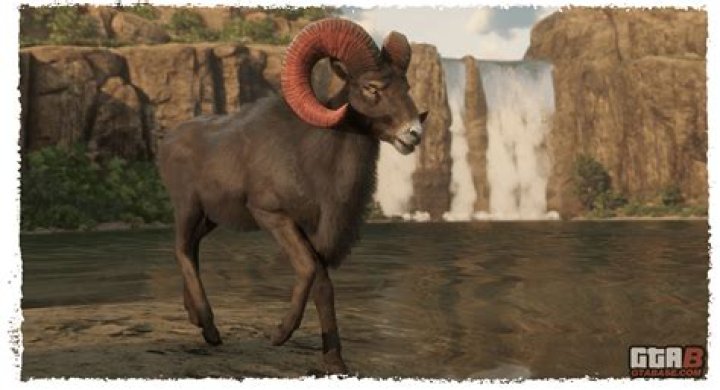 How to get naturalist role rdr2?