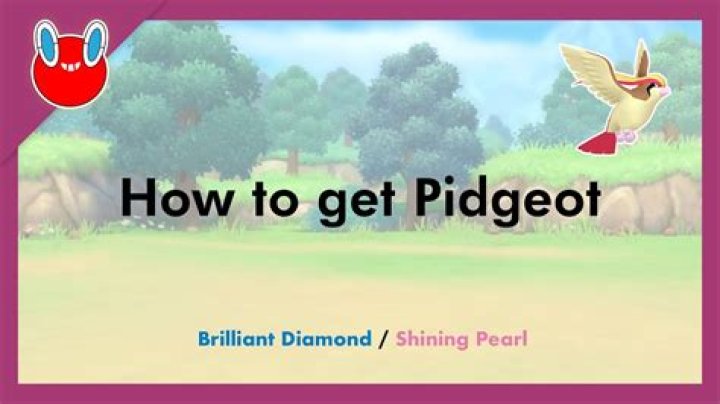 How to get pidgeot?