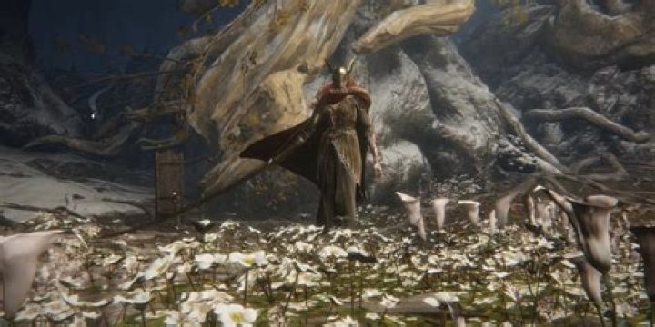 How to get pureblood demon soul?