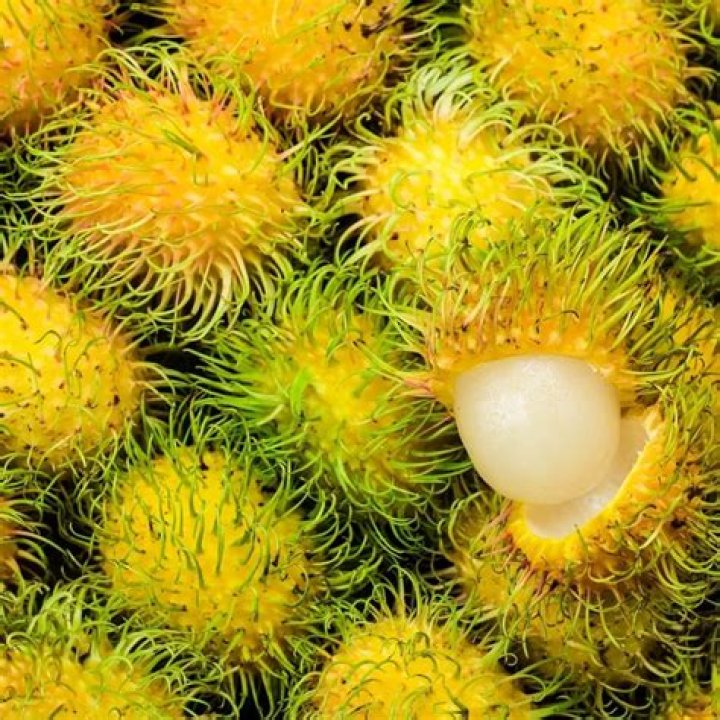 How to grow mamoncillo chino?