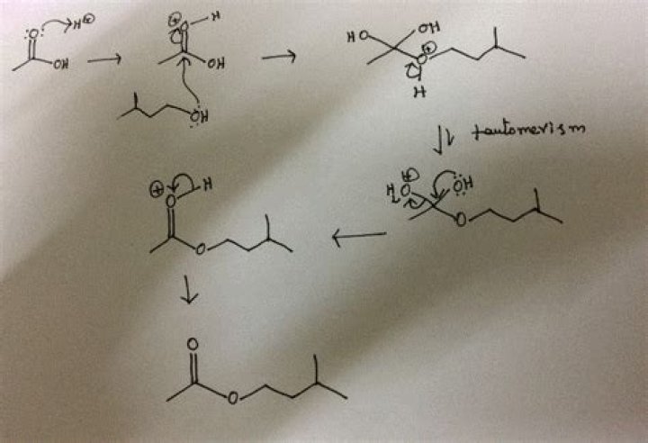 How to make isoamyl alcohol?