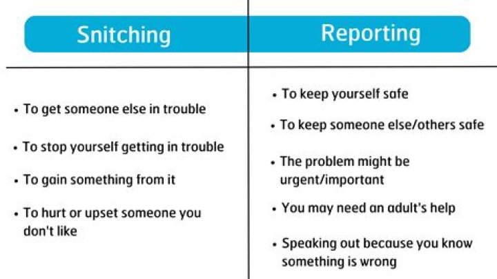 How to snitch on tiktok?