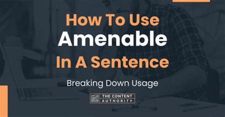 How to use the word amenable?