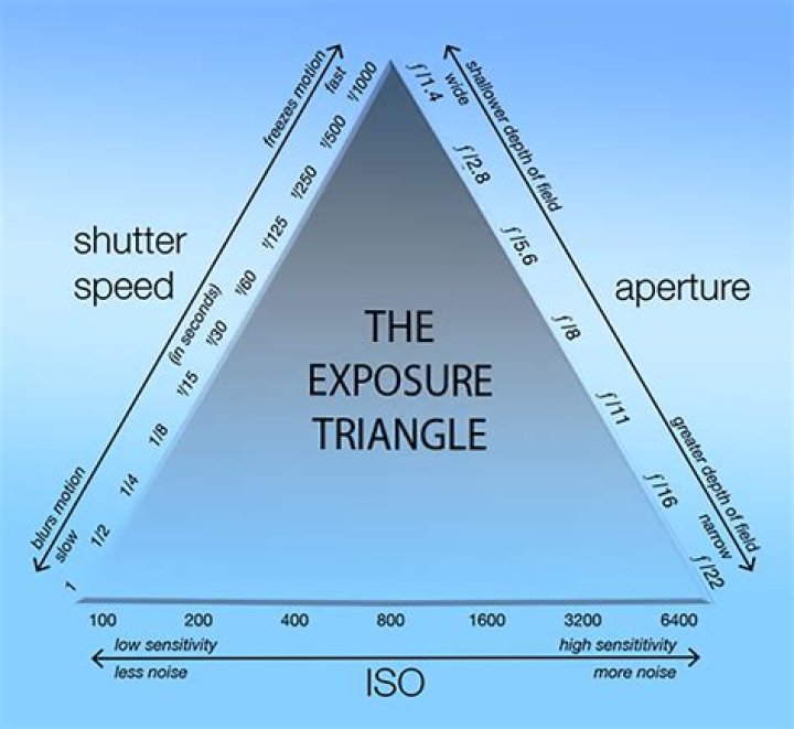 In cold and exposure?