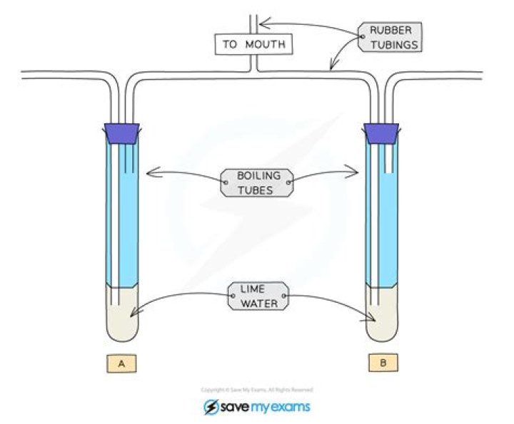 In inspired and expired air?