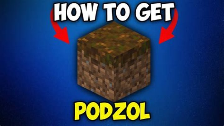 In minecraft what is podzol?