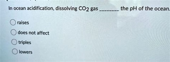 In ocean acidification dissolving co2 gas?