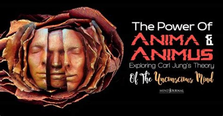 In the animus meaning?