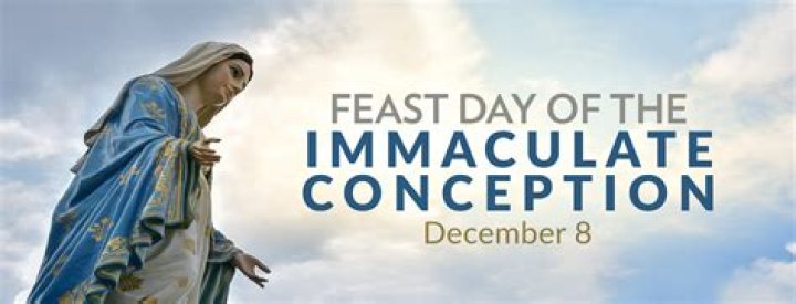 In the conception date?