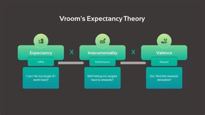 In vroom's expectancy theory v stands for?