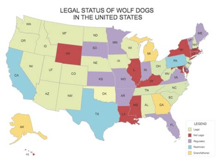 In what states is wolf hunting legal?