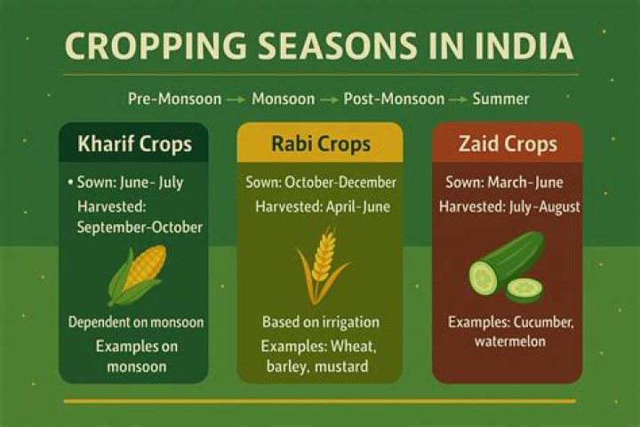 In which season zaid crops are grown?