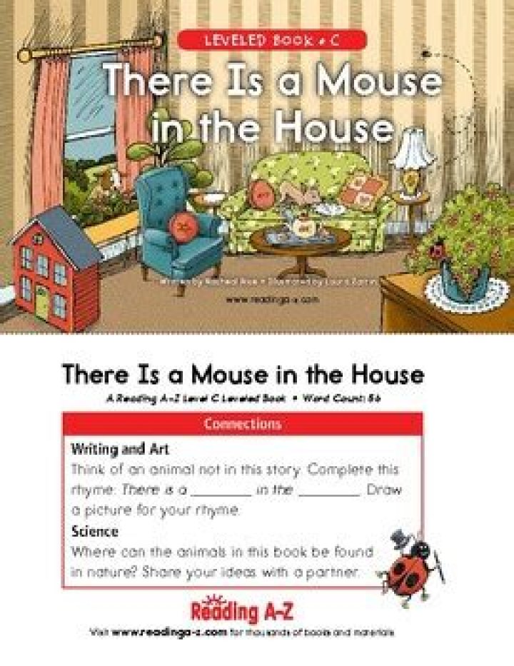 Is a mouse in the house a problem?