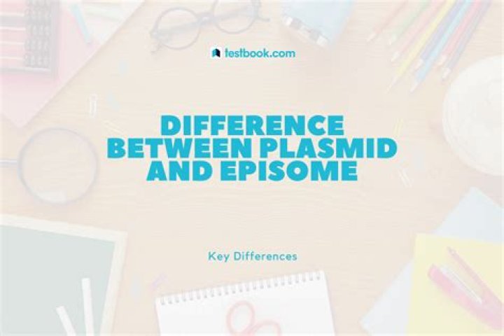 Is an episome a plasmid?