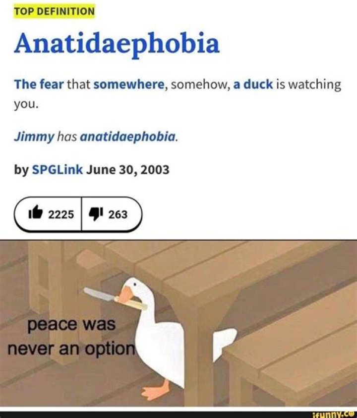 Is anatidaephobia a word?