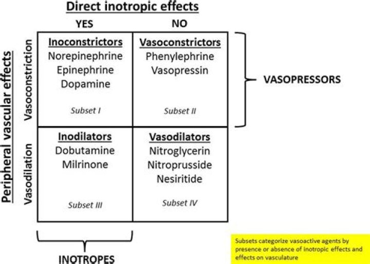Is atropine a vasoconstrictor?