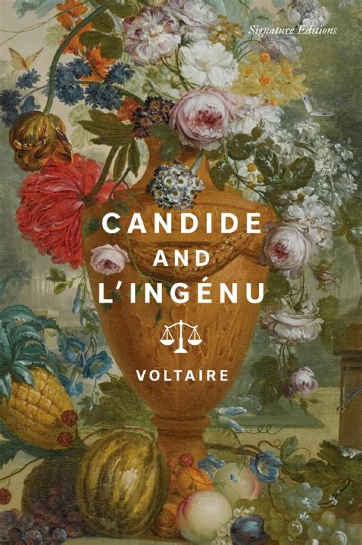 Is candide a novel?