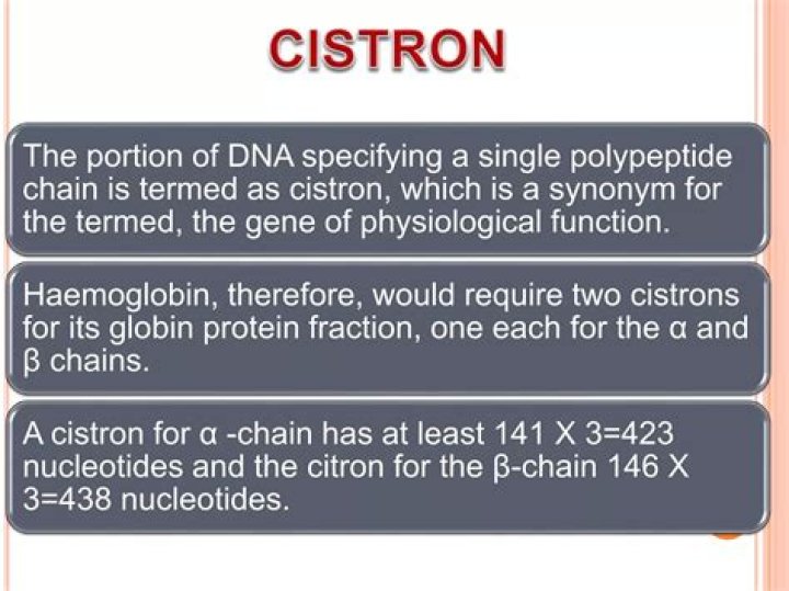 Is cistron a protein?