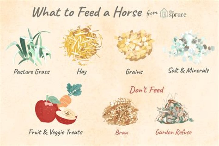 Is creep feed good for horses?