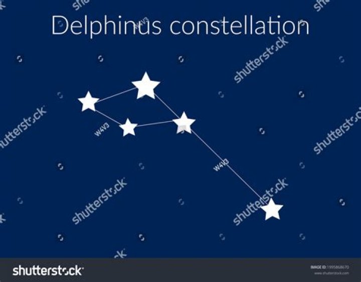 Is delphinus a zodiac sign?