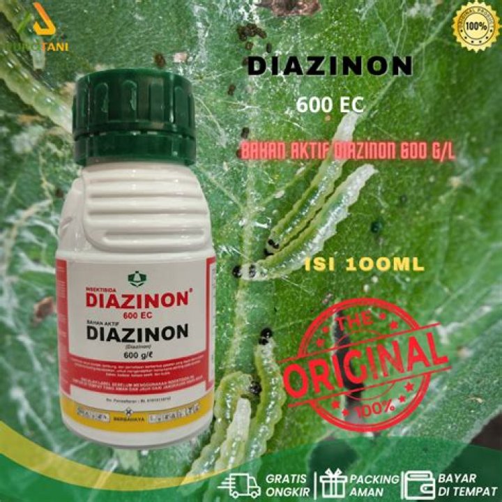 Is diazinon still available?