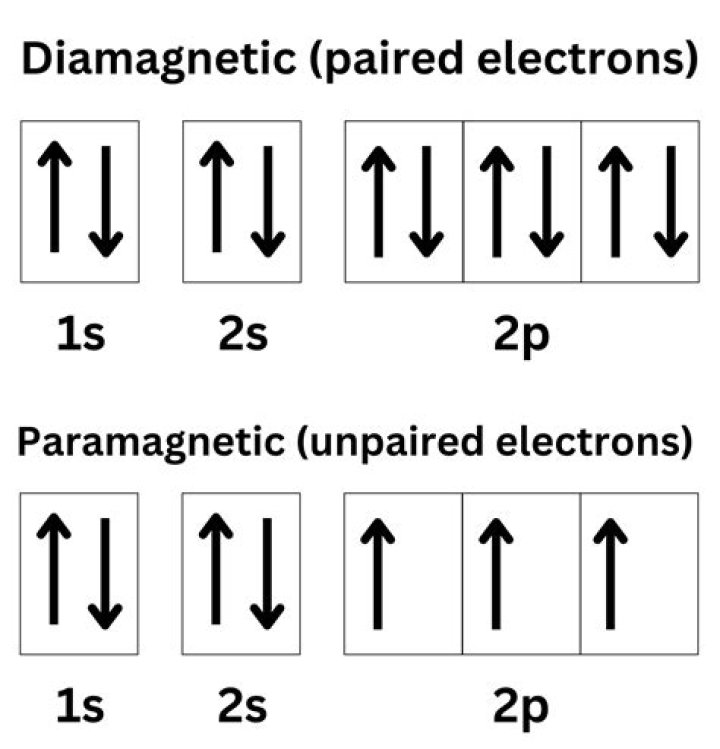 Is dichromate ion paramagnetic?