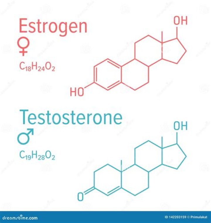 Is estrogen a steroid?