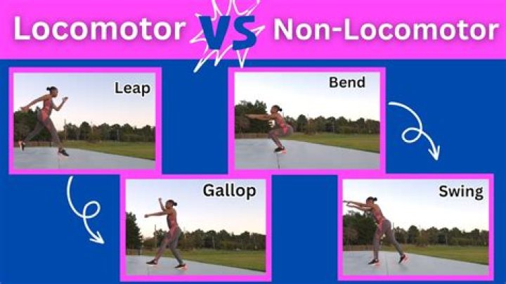 Is galloping a locomotor movement?