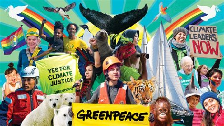 Is greenpeace an ngo?