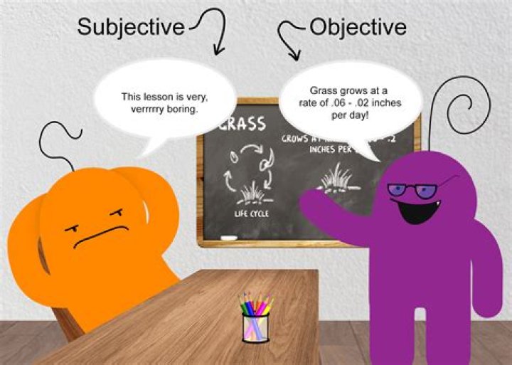 Is it subjectivity or subjectiveness?