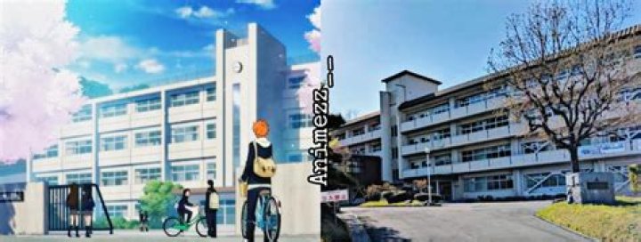 Is karasuno a private school?