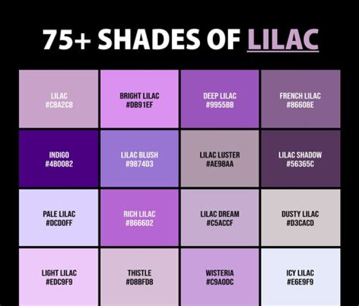 Is mauve the same as lilac?