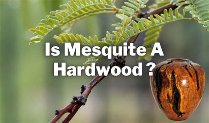 Is mesquite a hardwood?