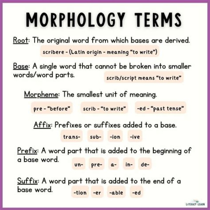 Is morphologically and english word?